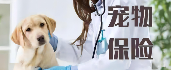 凯时尊龙·(中国)人生就是搏!官网