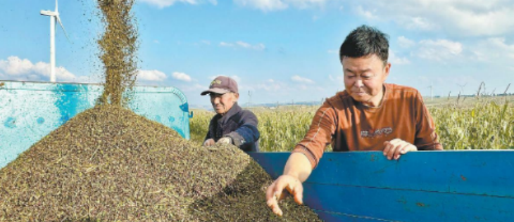 凯时尊龙·(中国)人生就是搏!官网